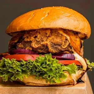 Lt Vegan Burger